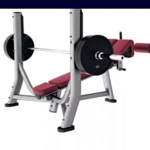 Olympic Decline Bench