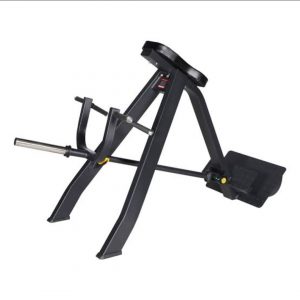 Commercial Tbar Lying Row