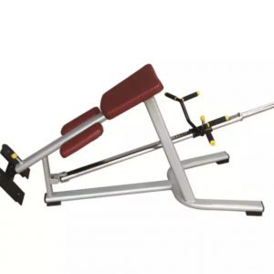 Commercial Tbar Lying Row