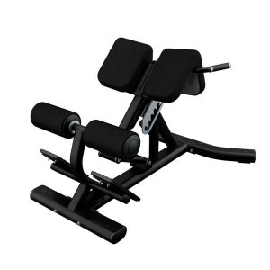 Hyper Extension Bench/Roman chair
