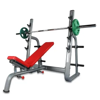 Adjustable Olympic barbell bench with rack — Alpha Fitness Kenya